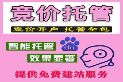 百度竞价广告实战：案例分析及优化策略