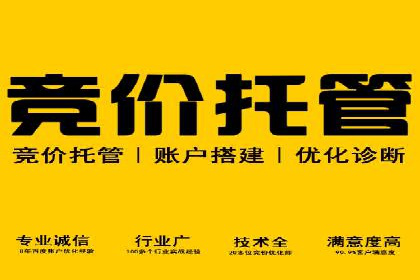 SEM竞价案例教学，实战经验分享